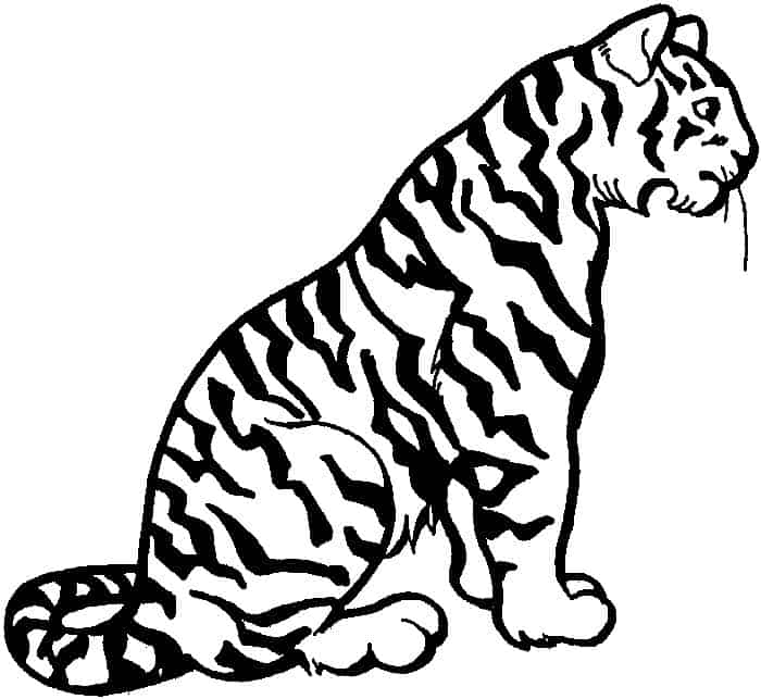 Snow Tiger Coloring Pages