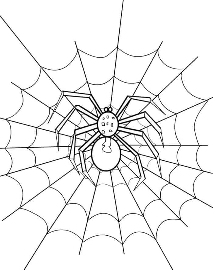 Spider And Web Coloring Pages