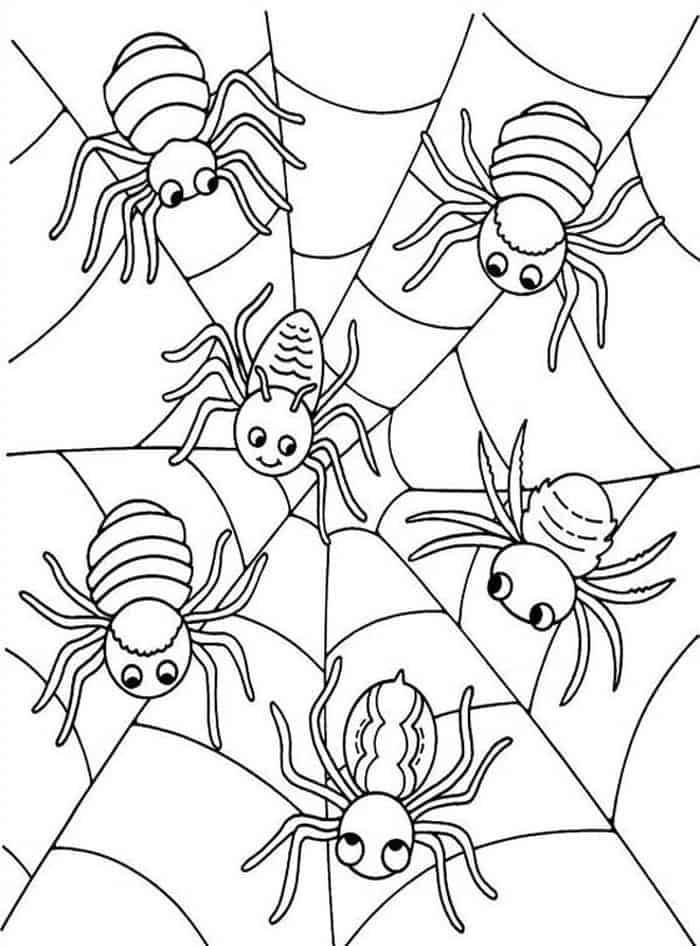 Spider Baby Printable Coloring Pages