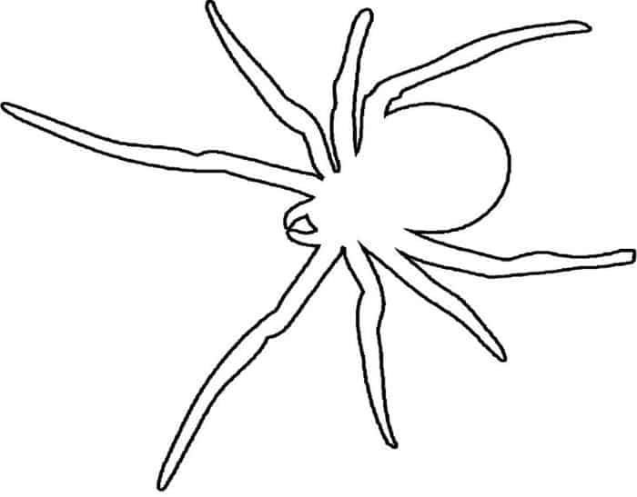 Spider Printable Coloring Pages