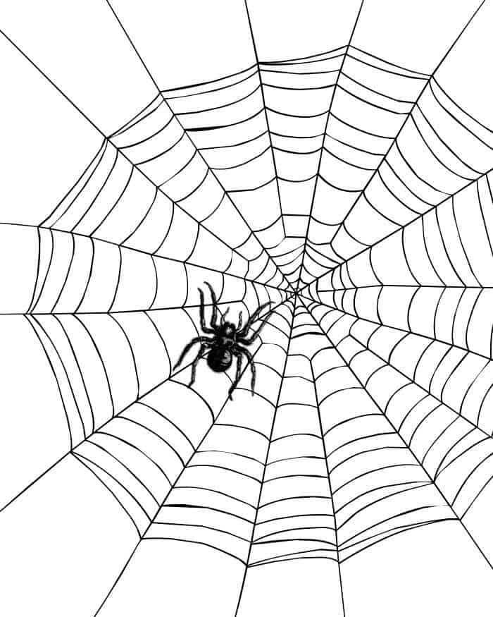 Spider Web Coloring Pages To Print