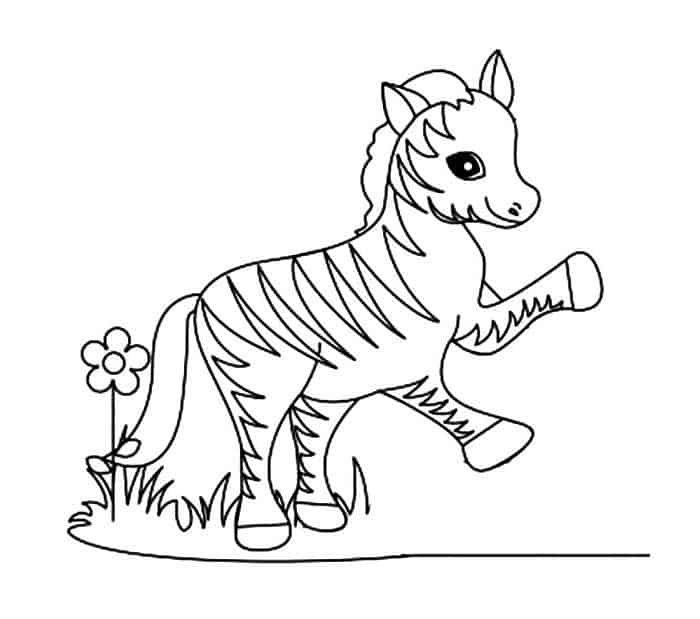 Squinkies Coloring Pages Zebra