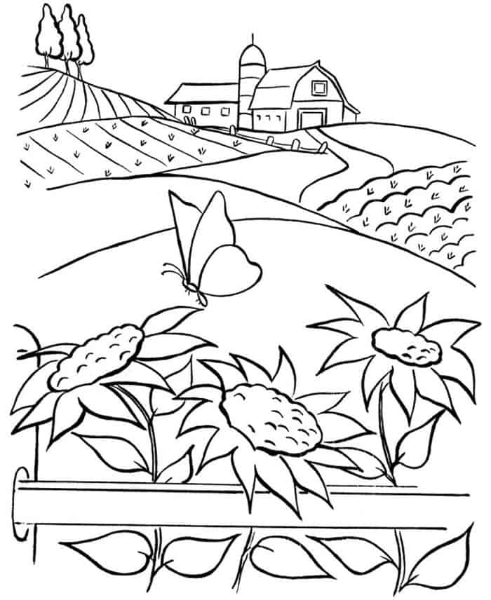 Sunflower Farmer Coloring Pages Pdf