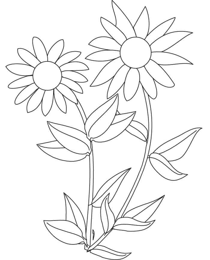 Tangled Sunflower Coloring Pages