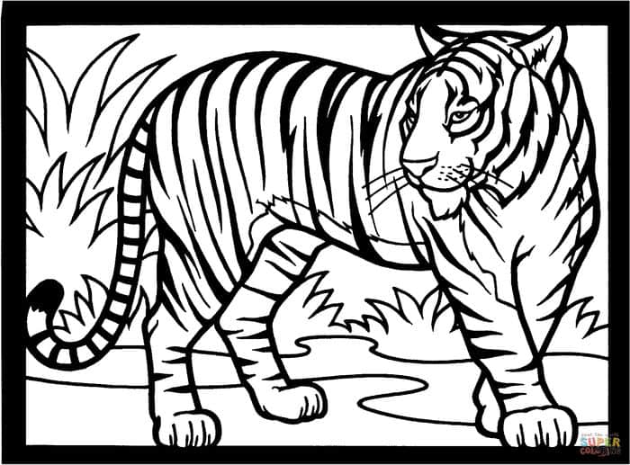 Tiger Coloring Pages For Adults