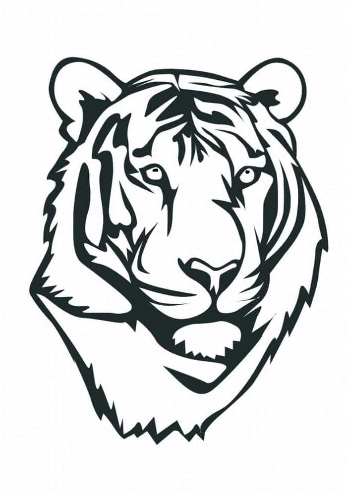 Tiger Faces Coloring Pages