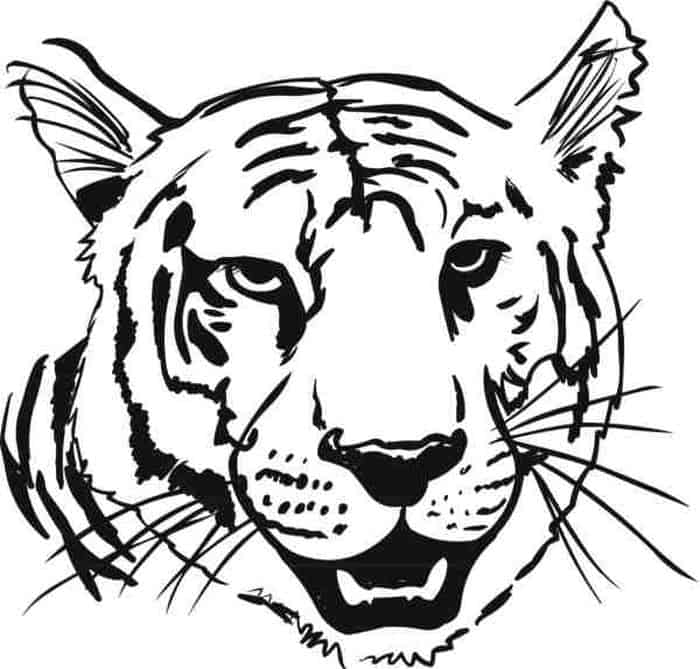 Tiger Head Coloring Pages