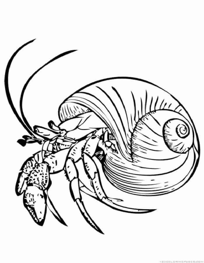 Tiny Sea Crab Coloring Pages