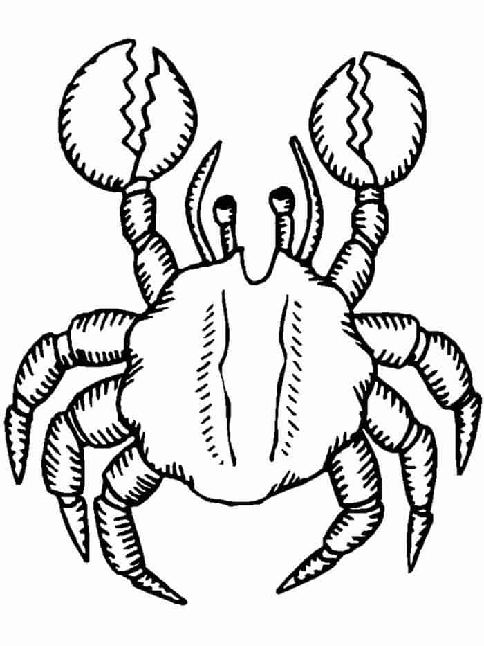 Tropical Fish Coloring Pages Crab