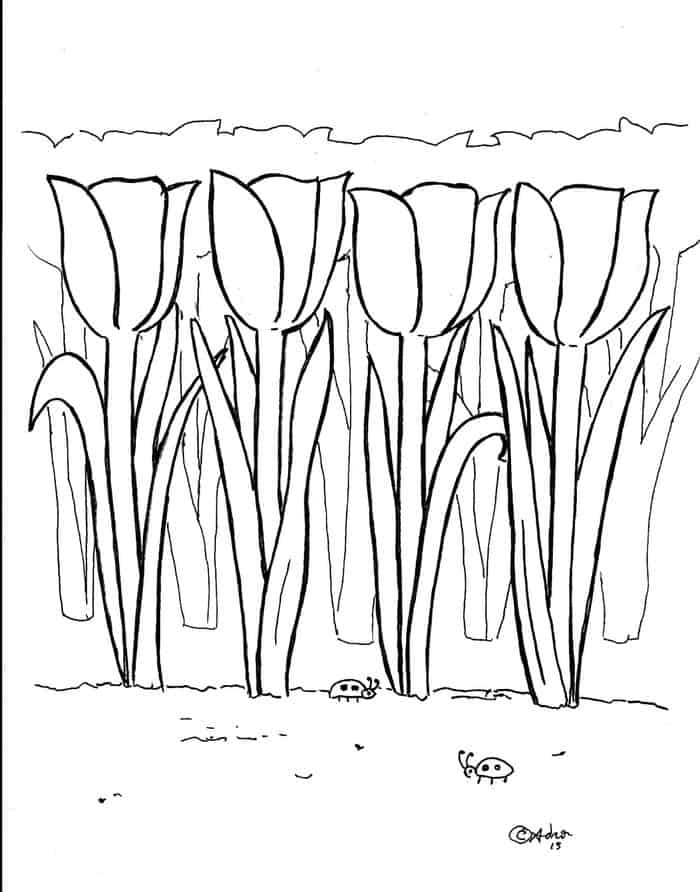 Tulip Adult Coloring Pages