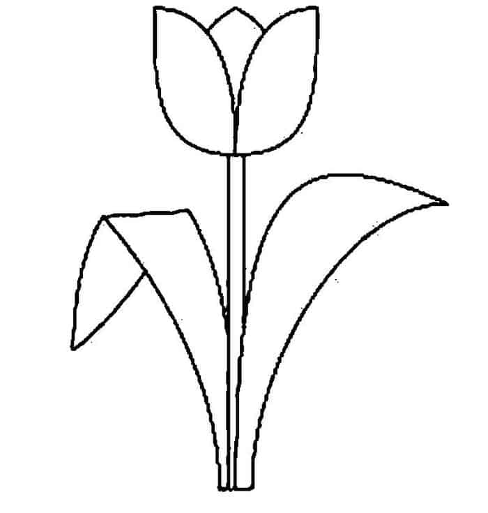 Tulip Coloring Pages Simple