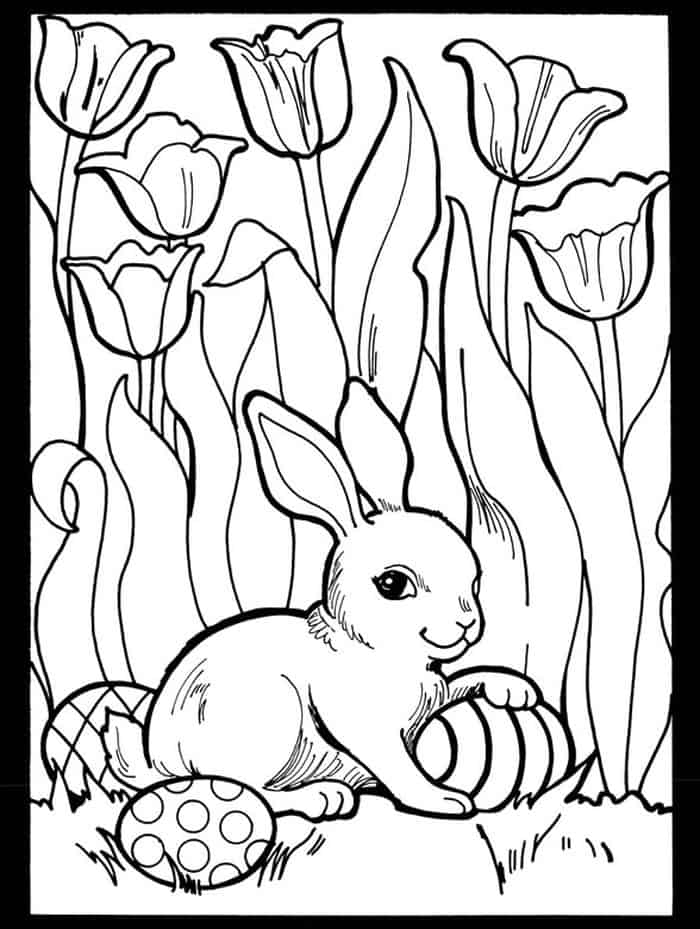 Tulip Fields Coloring Pages