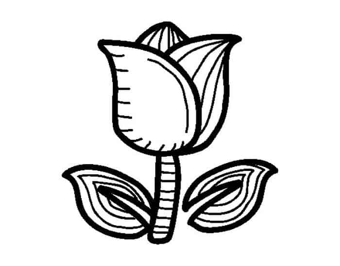 Tulip Head Coloring Pages