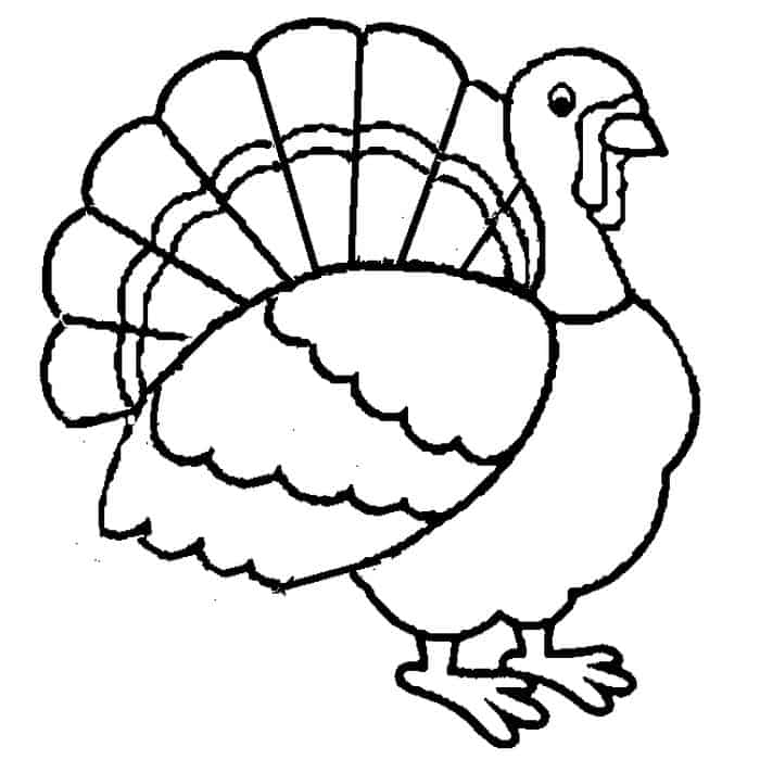 Turkey Coloring Pages For Kindergarten