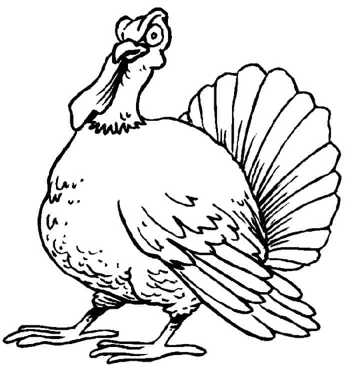 Turkey Coloring Pages Print