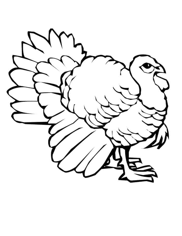Turkey Feathers Coloring Pages