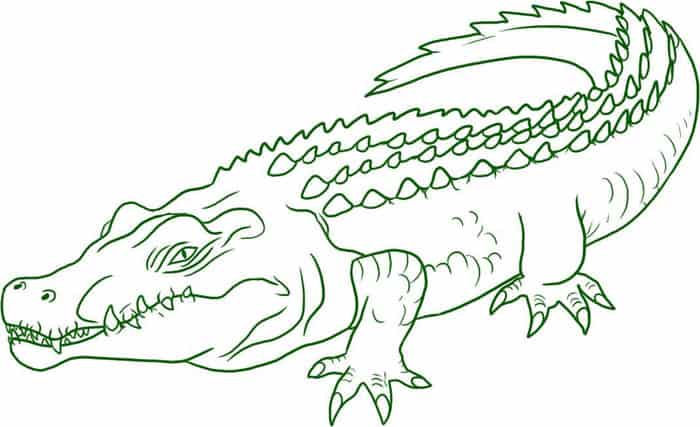Vector The Crocodile Coloring Pages
