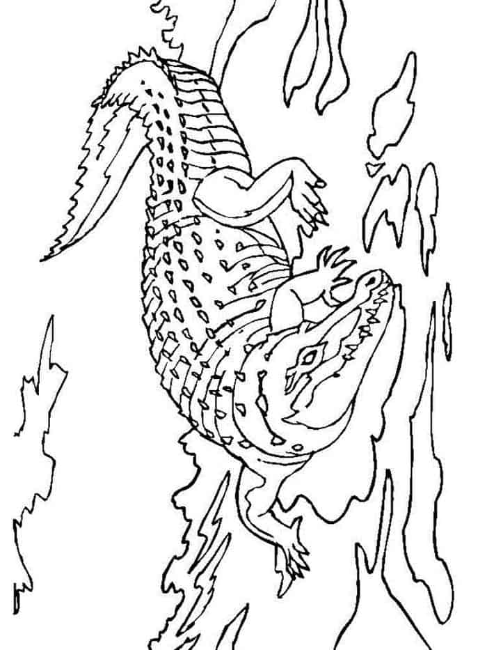 Water Crocodile Coloring Pages