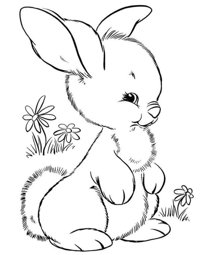 Winter Rabbit Coloring Pages