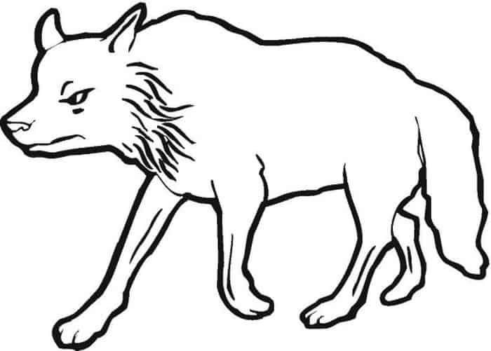 Wolves Coloring Pages Free