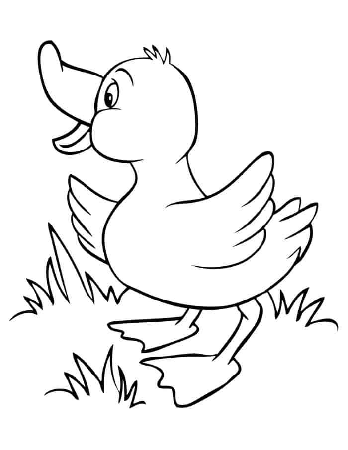 Yellow Duck Coloring Pages