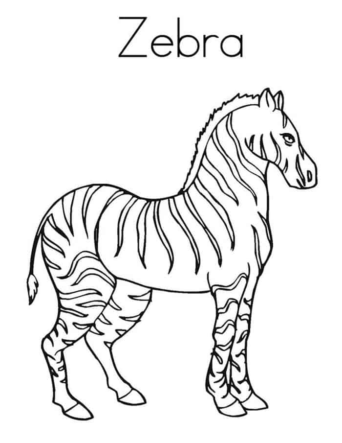 Zebra Dental Coloring Pages