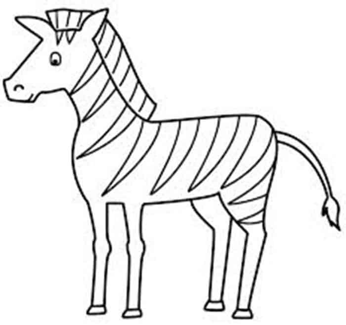 Zebra Print Coloring Pages