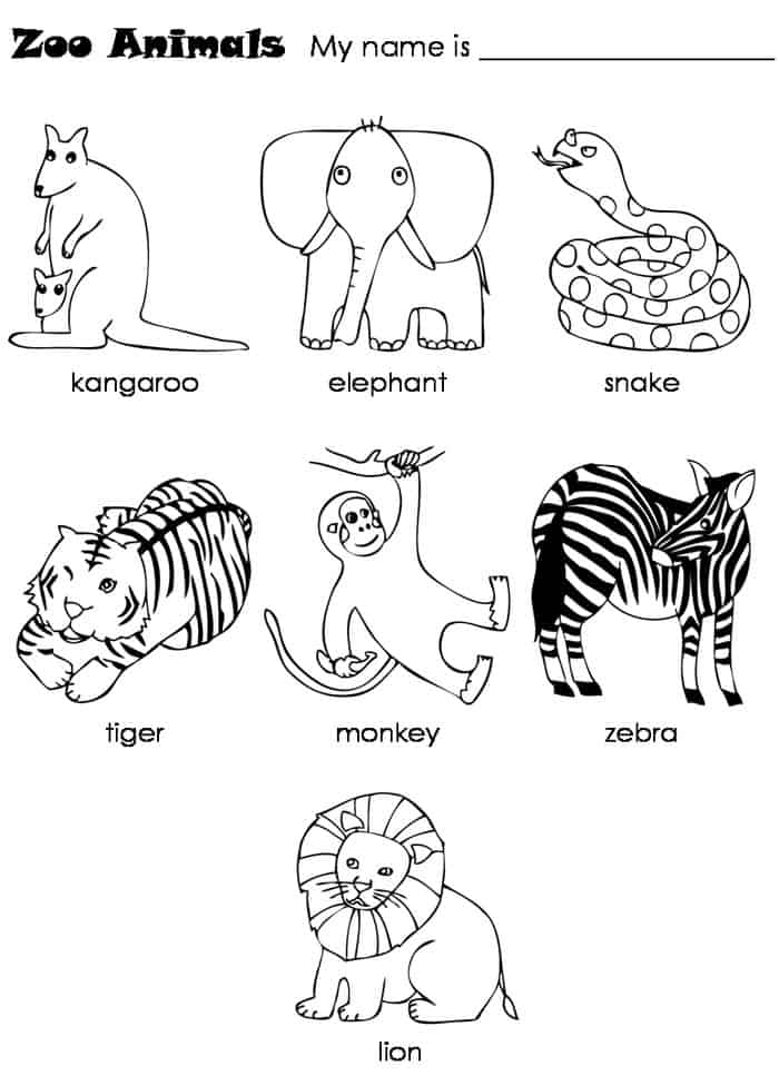 Zoo Animals Printable Coloring Pages