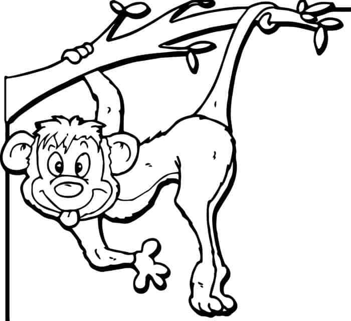 Zoo Coloring Pages To Print