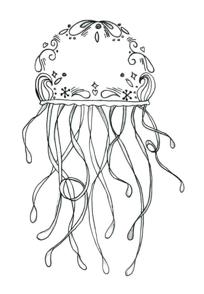 Adult Coloring Pages Jellyfish