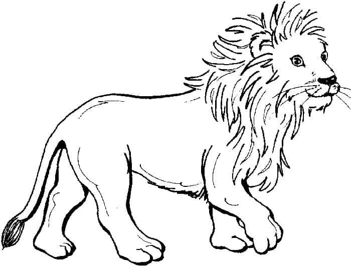 Adult Coloring Pages Lion