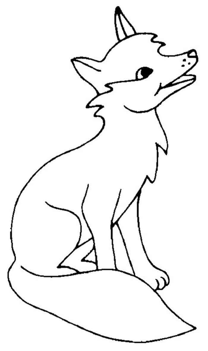 Adult Fox Coloring Pages