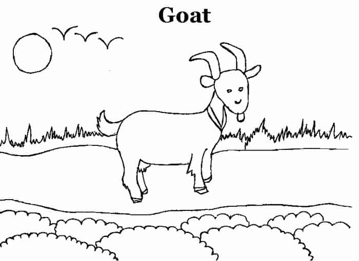 Adult Goat Coloring Pages