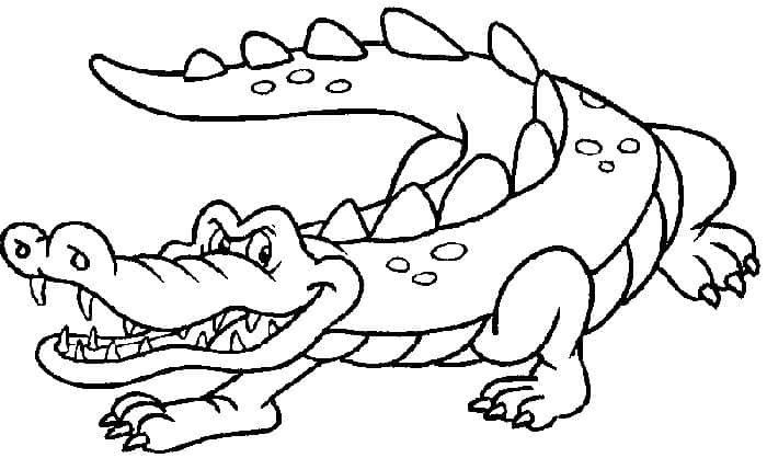 Alligator Coloring Pages Svg