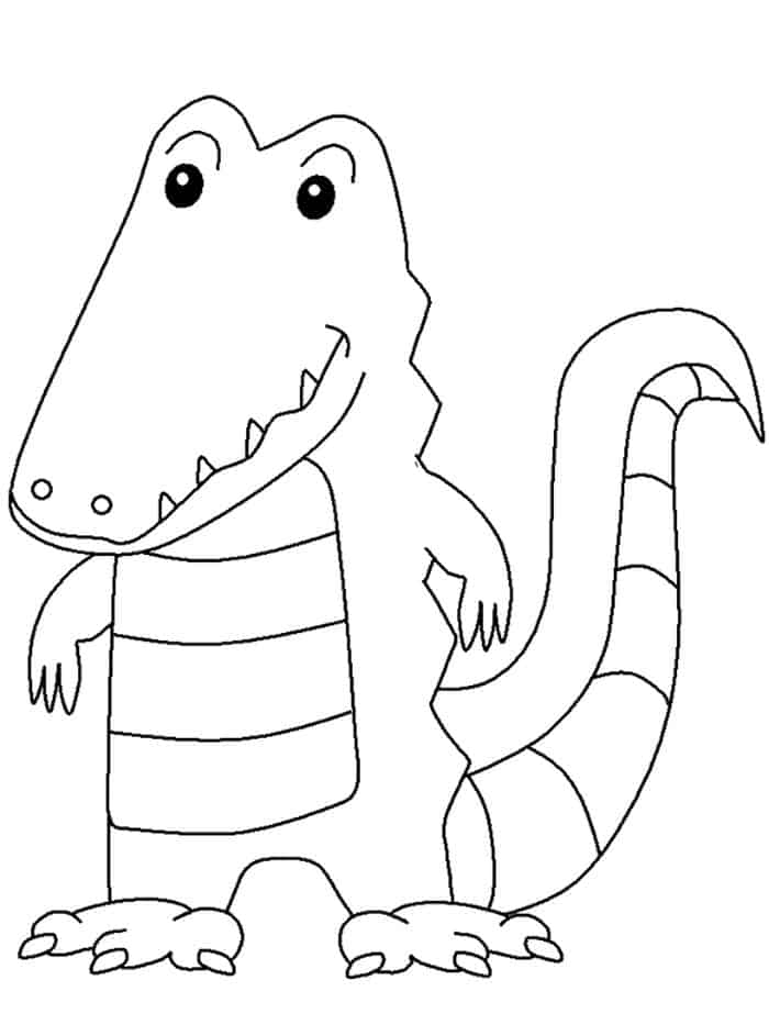Alligator For A Coloring Pages For Kids