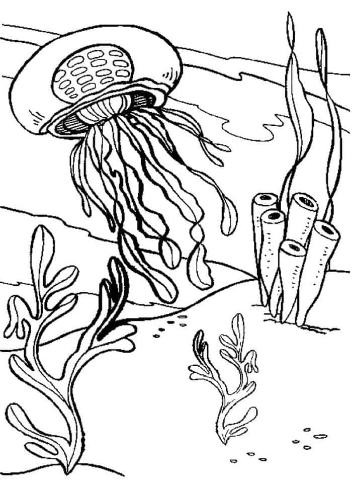 Animal Coloring Pages Jellyfish