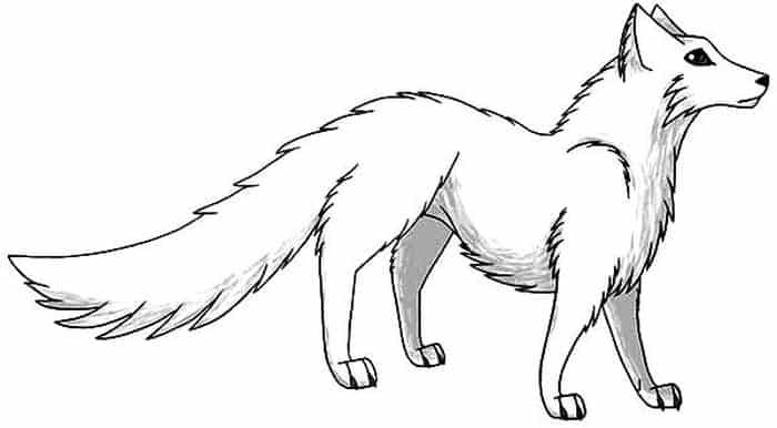 Arctic Fox Coloring Pages