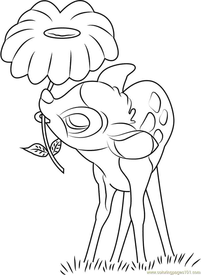 Baby Bambi Coloring Pages