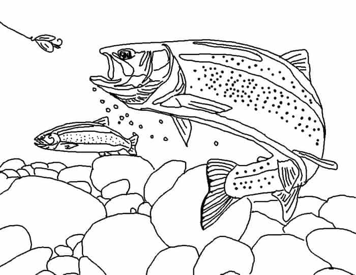 Bass Fishing Coloring Pages