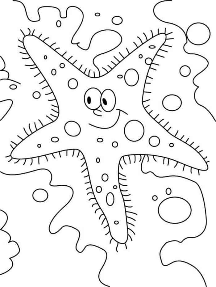 Beautiful Colored Coloring Pages Of Starfish