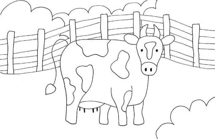 Coloring Cow Pages