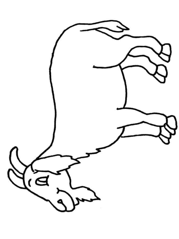 Coloring Pages Animals Donkey Lion Goat