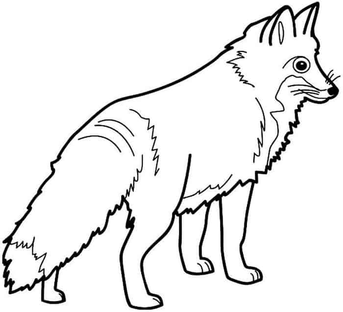 Coloring Pages For Adults Fox