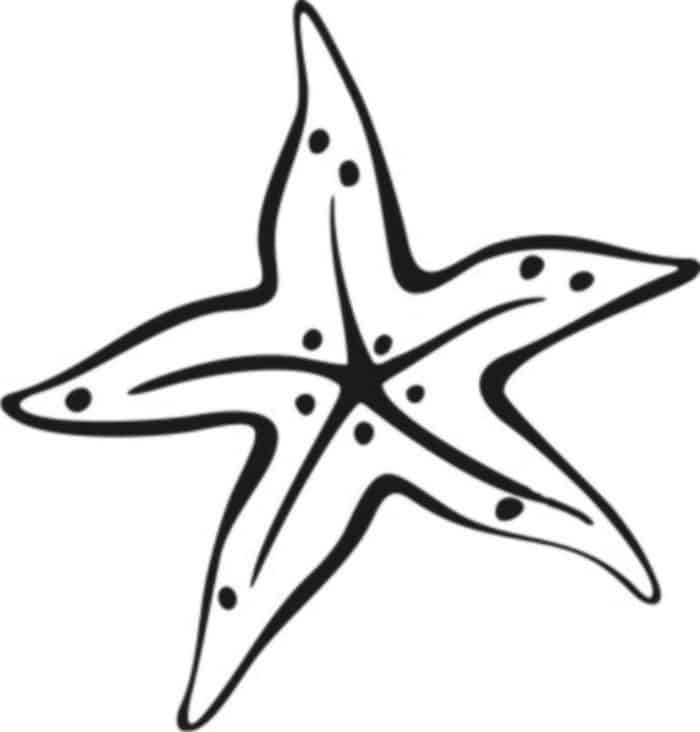 Coloring Pages For Adults Starfish