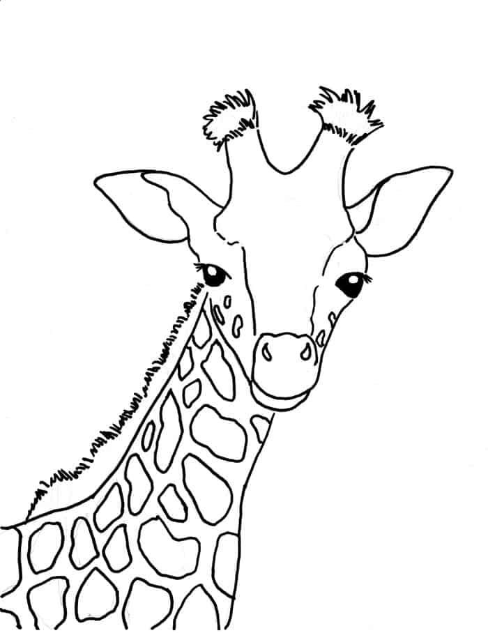 Coloring Pages Giraffe 1