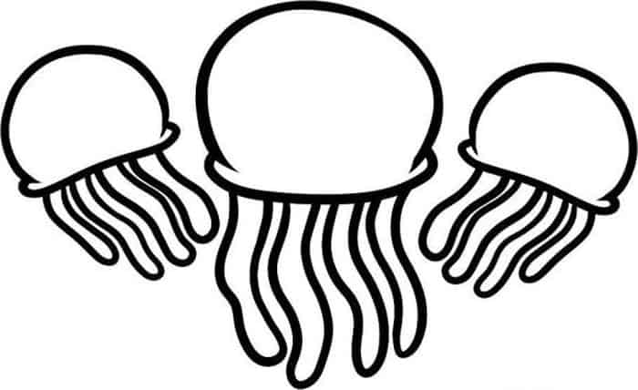 Coloring Pages Nettle Jellyfish
