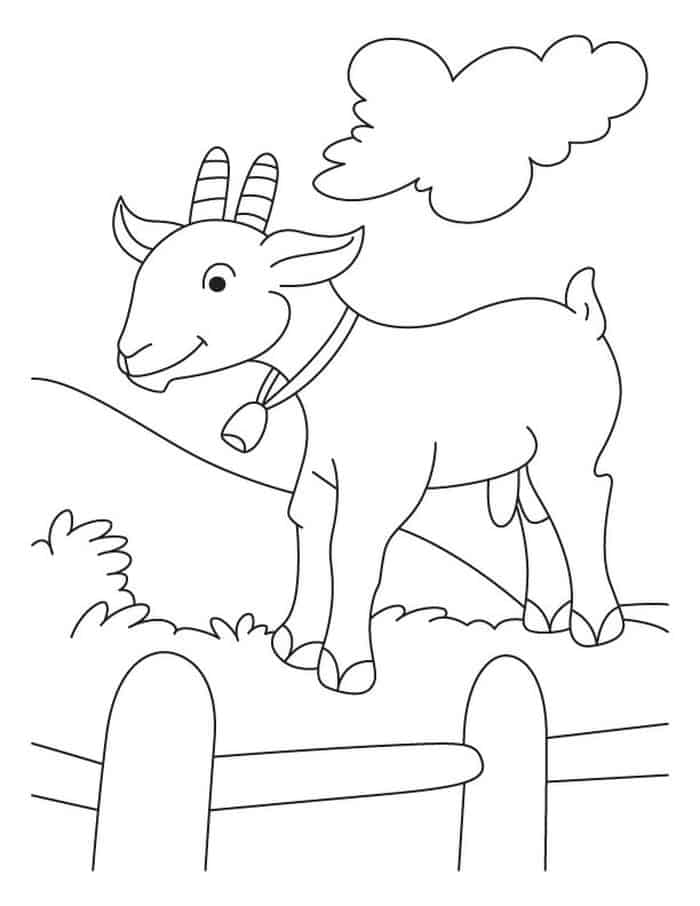 Coloring Pages Of A Baby Goat