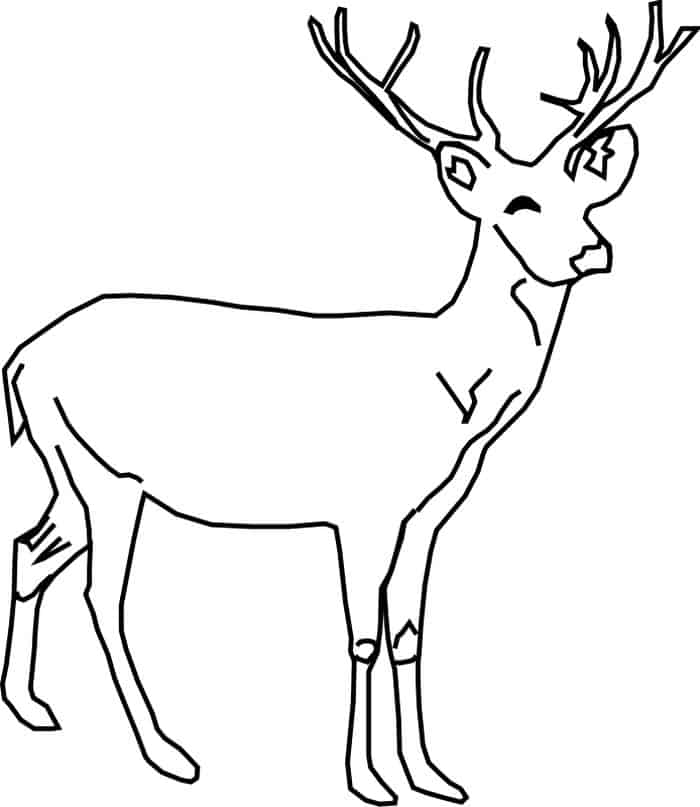 Coloring Pages Of A Deer