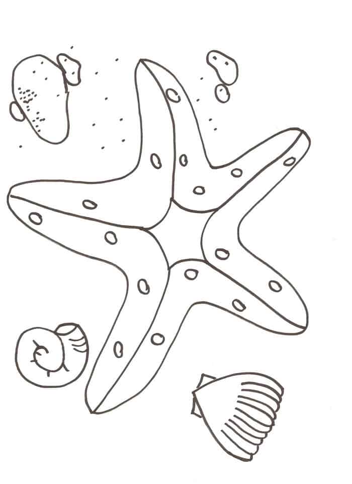 Coloring Pages Of A Starfish