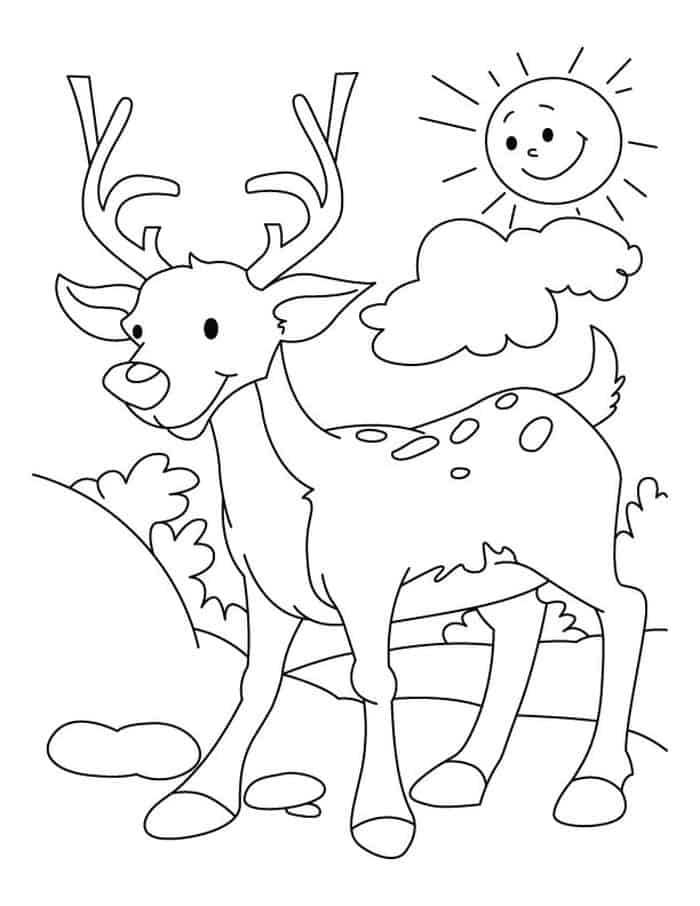 Coloring Pages Of Deer For Kids